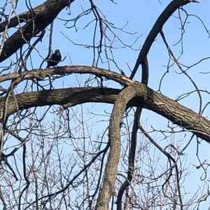 Meet your Posher, Elisa